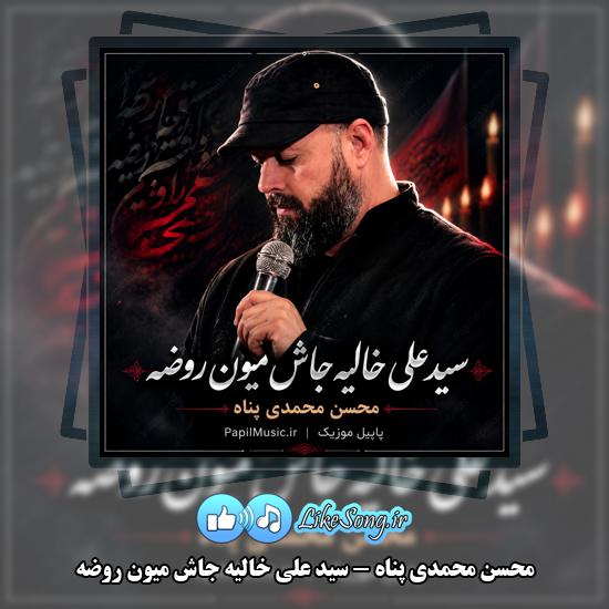 سید علی خالیه جاش میون روضه محسن محمدی پناه