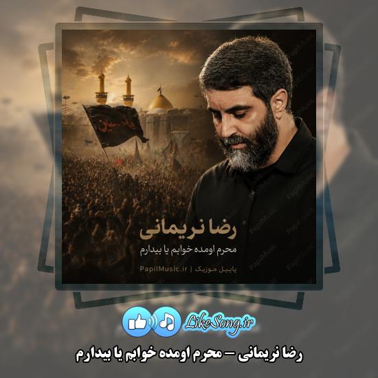 دانلود مداحی رضا نریمانی محرم اومده خوابم یا بیدارم 1 محرم اومده خوابم یا بیدارم رضا نریمانی