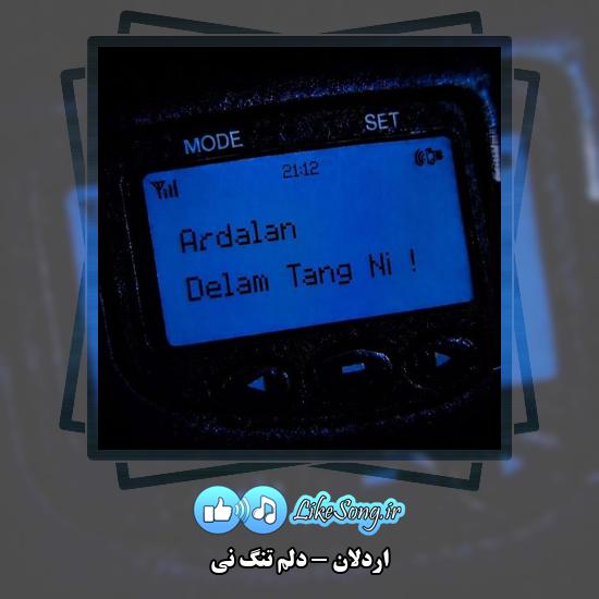دانلود آهنگ اردلان دلم تنگ نی 1 دلم تنگ نی اردلان